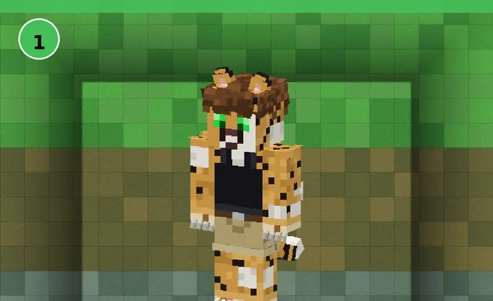 Server Access tier art